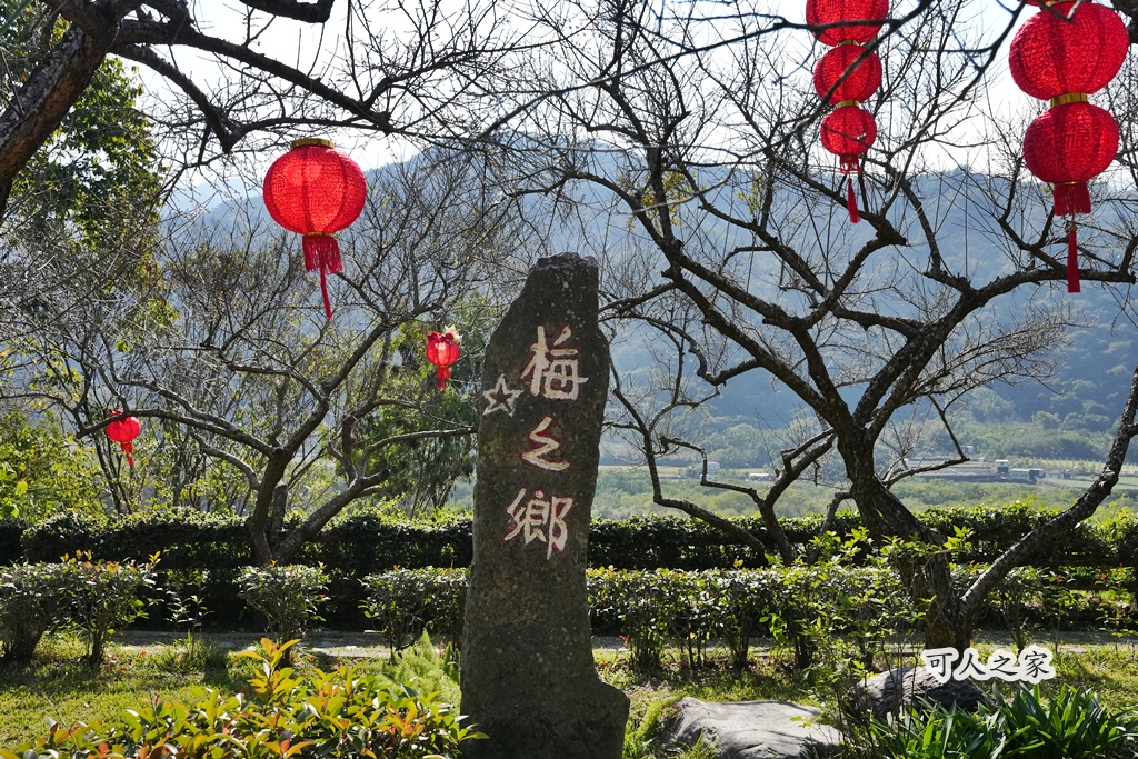 伴手禮,信義鄉美食,免費試吃,南投信義,南投景點推薦,日式氛圍,梅子夢工廠,梅子糖果,網美景點,親子旅遊,觀光工廠,賞梅