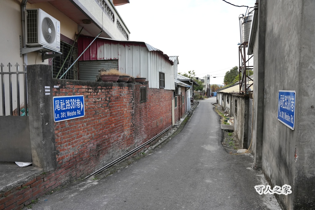 免費拍照點,免費落羽松,台中免費景點,台中拍照景點,台中散步景點,台中約會景點,台中落羽松,台灣落羽松,后里一日遊,后里落羽松,季節限定,安眉路停車,小而美景點,尾社福德祠,尾社福德祠彩虹橋落羽松,尾社路381巷,彩虹橋,戶外活動台中,攝影景點,楓葉季台中,水景落羽松,秋季限定,網美景點,落羽松倒影,落羽松季節,落羽松怎麼去,落羽松林,落羽松步道,落羽松秘境,落羽松花況,親子景點台中,靜謐景點