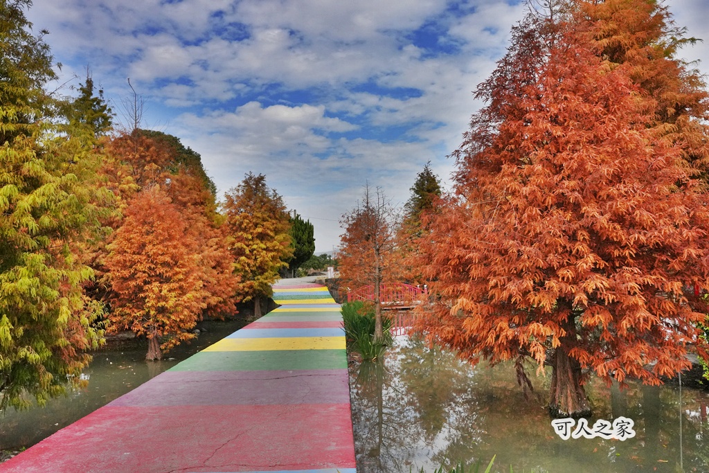 免費拍照點,免費落羽松,台中免費景點,台中拍照景點,台中散步景點,台中約會景點,台中落羽松,台灣落羽松,后里一日遊,后里落羽松,季節限定,安眉路停車,小而美景點,尾社福德祠,尾社福德祠彩虹橋落羽松,尾社路381巷,彩虹橋,戶外活動台中,攝影景點,楓葉季台中,水景落羽松,秋季限定,網美景點,落羽松倒影,落羽松季節,落羽松怎麼去,落羽松林,落羽松步道,落羽松秘境,落羽松花況,親子景點台中,靜謐景點 免費拍照點,免費落羽松,台中免費景點,台中拍照景點,台中散步景點,台中約會景點,台中落羽松,台灣落羽松,后里一日遊,后里落羽松,季節限定,安眉路停車,小而美景點,尾社福德祠,尾社福德祠彩虹橋落羽松,尾社路381巷,彩虹橋,戶外活動台中,攝影景點,楓葉季台中,水景落羽松,秋季限定,網美景點,落羽松倒影,落羽松季節,落羽松怎麼去,落羽松林,落羽松步道,落羽松秘境,落羽松花況,親子景點台中,靜謐景點