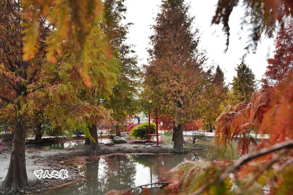 免費拍照點,免費落羽松,台中免費景點,台中拍照景點,台中散步景點,台中約會景點,台中落羽松,台灣落羽松,后里一日遊,后里落羽松,季節限定,安眉路停車,小而美景點,尾社福德祠,尾社福德祠彩虹橋落羽松,尾社路381巷,彩虹橋,戶外活動台中,攝影景點,楓葉季台中,水景落羽松,秋季限定,網美景點,落羽松倒影,落羽松季節,落羽松怎麼去,落羽松林,落羽松步道,落羽松秘境,落羽松花況,親子景點台中,靜謐景點 免費拍照點,免費落羽松,台中免費景點,台中拍照景點,台中散步景點,台中約會景點,台中落羽松,台灣落羽松,后里一日遊,后里落羽松,季節限定,安眉路停車,小而美景點,尾社福德祠,尾社福德祠彩虹橋落羽松,尾社路381巷,彩虹橋,戶外活動台中,攝影景點,楓葉季台中,水景落羽松,秋季限定,網美景點,落羽松倒影,落羽松季節,落羽松怎麼去,落羽松林,落羽松步道,落羽松秘境,落羽松花況,親子景點台中,靜謐景點