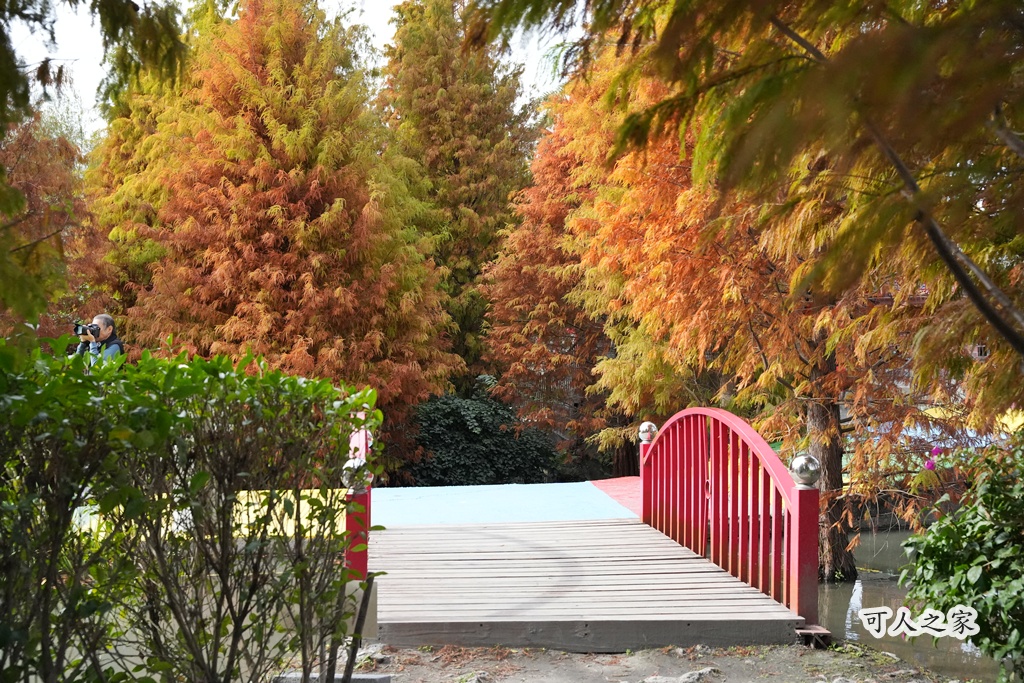 免費拍照點,免費落羽松,台中免費景點,台中拍照景點,台中散步景點,台中約會景點,台中落羽松,台灣落羽松,后里一日遊,后里落羽松,季節限定,安眉路停車,小而美景點,尾社福德祠,尾社福德祠彩虹橋落羽松,尾社路381巷,彩虹橋,戶外活動台中,攝影景點,楓葉季台中,水景落羽松,秋季限定,網美景點,落羽松倒影,落羽松季節,落羽松怎麼去,落羽松林,落羽松步道,落羽松秘境,落羽松花況,親子景點台中,靜謐景點 免費拍照點,免費落羽松,台中免費景點,台中拍照景點,台中散步景點,台中約會景點,台中落羽松,台灣落羽松,后里一日遊,后里落羽松,季節限定,安眉路停車,小而美景點,尾社福德祠,尾社福德祠彩虹橋落羽松,尾社路381巷,彩虹橋,戶外活動台中,攝影景點,楓葉季台中,水景落羽松,秋季限定,網美景點,落羽松倒影,落羽松季節,落羽松怎麼去,落羽松林,落羽松步道,落羽松秘境,落羽松花況,親子景點台中,靜謐景點
