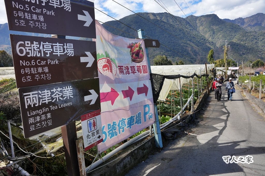 2021草坪頭櫻花季