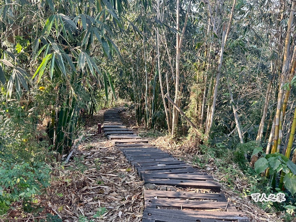 O型路線,三等三角點,下坡路段,休息區,停車場,健行時間,加比山,古坑景點,古坑步道,台灣好玩,台灣步道,挑戰型步道,斗六景點,斗南景點,步道全長,步道地圖,步道難度,登山入口,膝蓋不好,荷苞山,荷苞山公園,荷苞山步道,視野遼闊,親子步道 (需加註條件或不適合),階梯步道,雲林一日遊,雲林健行,雲林六輕,雲林古坑荷苞山步道,雲林展望,雲林景點,雲林爬山,雲林登山,雲林秘境 (稍微誇大，但可用於吸引點擊),靈台山建德寺地母廟,高CP值步道