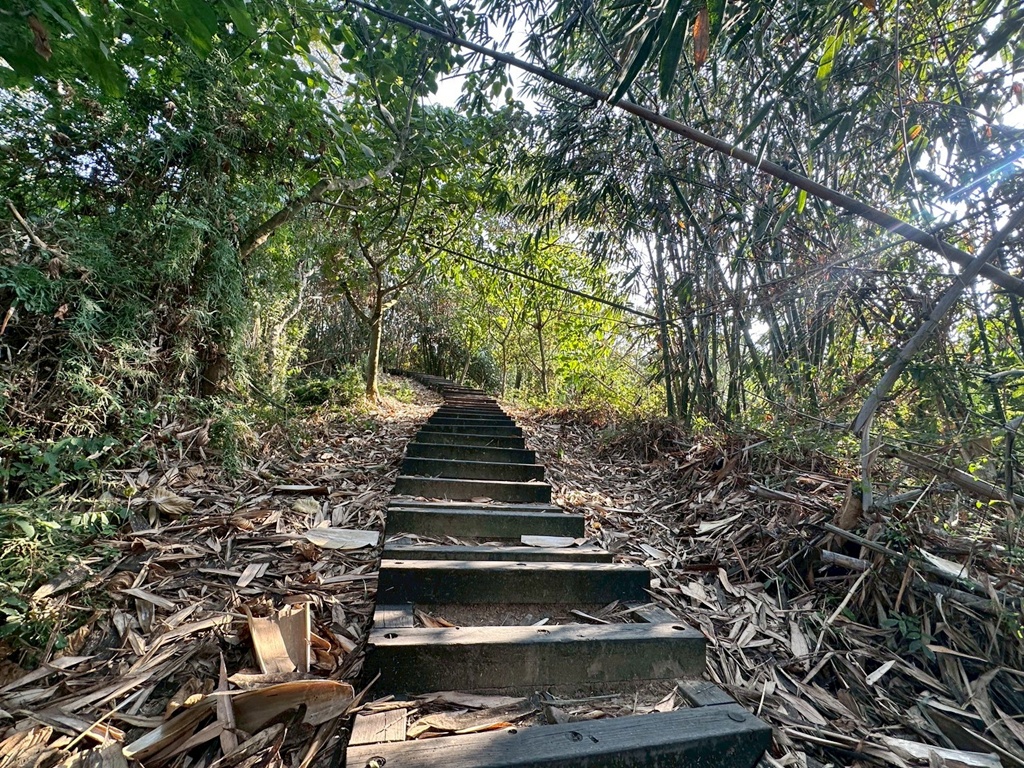 O型路線,三等三角點,下坡路段,休息區,停車場,健行時間,加比山,古坑景點,古坑步道,台灣好玩,台灣步道,挑戰型步道,斗六景點,斗南景點,步道全長,步道地圖,步道難度,登山入口,膝蓋不好,荷苞山,荷苞山公園,荷苞山步道,視野遼闊,親子步道 (需加註條件或不適合),階梯步道,雲林一日遊,雲林健行,雲林六輕,雲林古坑荷苞山步道,雲林展望,雲林景點,雲林爬山,雲林登山,雲林秘境 (稍微誇大,但可用於吸引點擊),靈台山建德寺地母廟,高CP值步道 O型路線,三等三角點,下坡路段,休息區,停車場,健行時間,加比山,古坑景點,古坑步道,台灣好玩,台灣步道,挑戰型步道,斗六景點,斗南景點,步道全長,步道地圖,步道難度,登山入口,膝蓋不好,荷苞山,荷苞山公園,荷苞山步道,視野遼闊,親子步道 (需加註條件或不適合),階梯步道,雲林一日遊,雲林健行,雲林六輕,雲林古坑荷苞山步道,雲林展望,雲林景點,雲林爬山,雲林登山,雲林秘境 (稍微誇大,但可用於吸引點擊),靈台山建德寺地母廟,高CP值步道