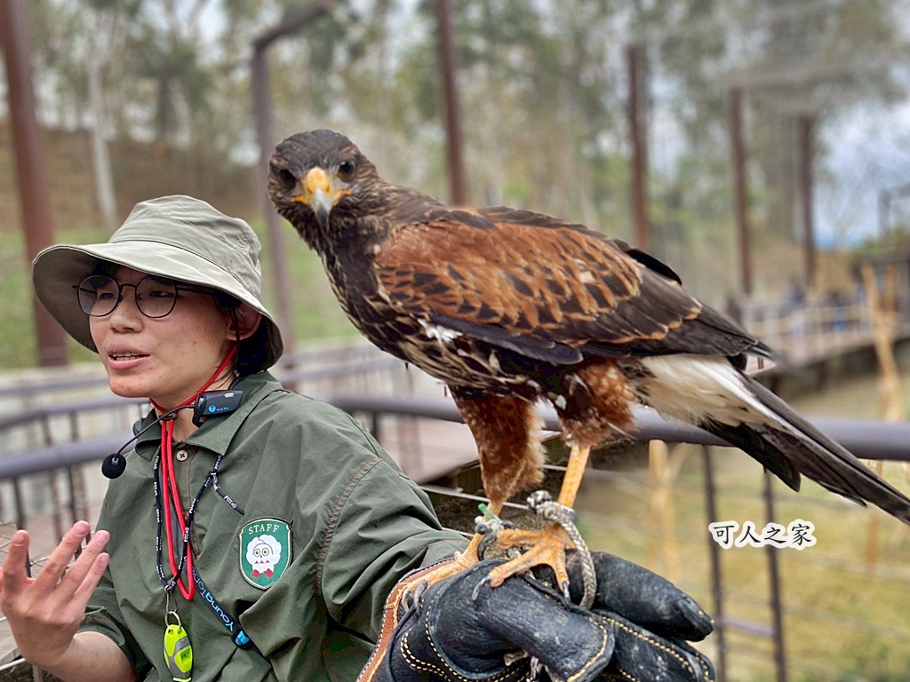 二趾樹懶,互動動物園,內門觀光,動物體驗,土撥鼠,小食蟻獸,栗翅鷹體驗,水豚餵食,狐獴,瓦萊黑鼻羊,親子活動,親近動物,野森動物學校,野森動物學校交通,野森動物學校心得,野森動物學校評價,野森動物學校門票,野森動物學校預約,預約制動物園,高雄假日去哪玩,高雄內門景點,高雄動物園,高雄必去景點,高雄戶外景點,高雄新景點,高雄旅遊,高雄狐狸互動,高雄萌寵園區,高雄親子景點,高雄野森動物學校 二趾樹懶,互動動物園,內門觀光,動物體驗,土撥鼠,小食蟻獸,栗翅鷹體驗,水豚餵食,狐獴,瓦萊黑鼻羊,親子活動,親近動物,野森動物學校,野森動物學校交通,野森動物學校心得,野森動物學校評價,野森動物學校門票,野森動物學校預約,預約制動物園,高雄假日去哪玩,高雄內門景點,高雄動物園,高雄必去景點,高雄戶外景點,高雄新景點,高雄旅遊,高雄狐狸互動,高雄萌寵園區,高雄親子景點,高雄野森動物學校