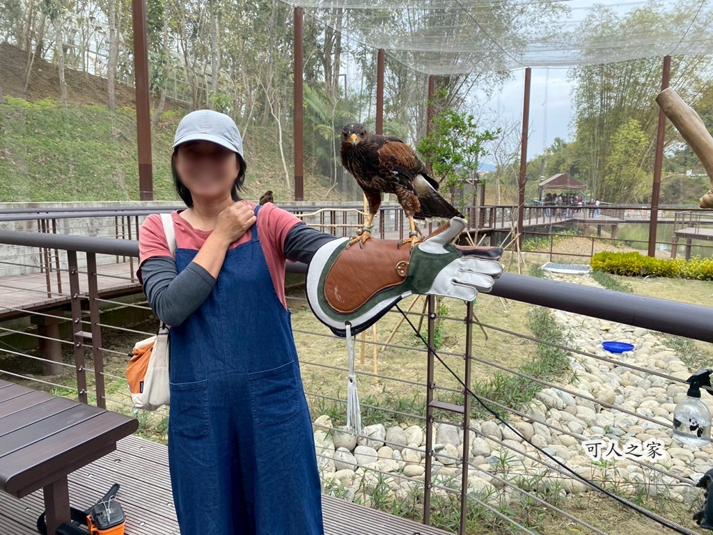 二趾樹懶,互動動物園,內門觀光,動物體驗,土撥鼠,小食蟻獸,栗翅鷹體驗,水豚餵食,狐獴,瓦萊黑鼻羊,親子活動,親近動物,野森動物學校,野森動物學校交通,野森動物學校心得,野森動物學校評價,野森動物學校門票,野森動物學校預約,預約制動物園,高雄假日去哪玩,高雄內門景點,高雄動物園,高雄必去景點,高雄戶外景點,高雄新景點,高雄旅遊,高雄狐狸互動,高雄萌寵園區,高雄親子景點,高雄野森動物學校 二趾樹懶,互動動物園,內門觀光,動物體驗,土撥鼠,小食蟻獸,栗翅鷹體驗,水豚餵食,狐獴,瓦萊黑鼻羊,親子活動,親近動物,野森動物學校,野森動物學校交通,野森動物學校心得,野森動物學校評價,野森動物學校門票,野森動物學校預約,預約制動物園,高雄假日去哪玩,高雄內門景點,高雄動物園,高雄必去景點,高雄戶外景點,高雄新景點,高雄旅遊,高雄狐狸互動,高雄萌寵園區,高雄親子景點,高雄野森動物學校