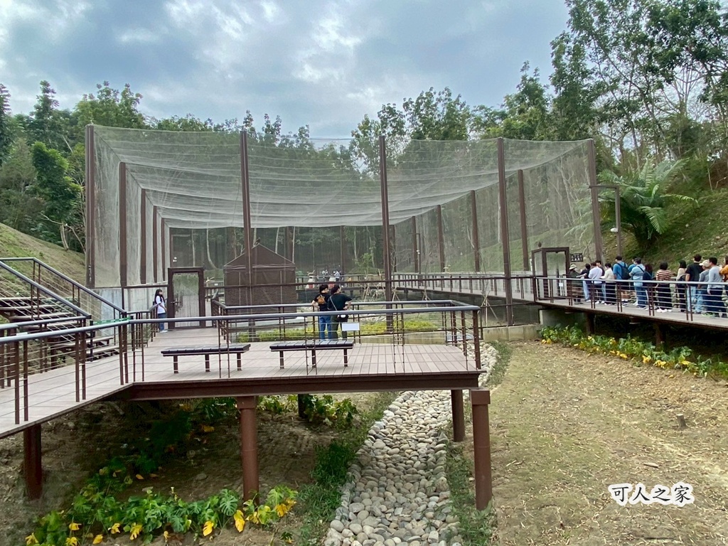 二趾樹懶,互動動物園,內門觀光,動物體驗,土撥鼠,小食蟻獸,栗翅鷹體驗,水豚餵食,狐獴,瓦萊黑鼻羊,親子活動,親近動物,野森動物學校,野森動物學校交通,野森動物學校心得,野森動物學校評價,野森動物學校門票,野森動物學校預約,預約制動物園,高雄假日去哪玩,高雄內門景點,高雄動物園,高雄必去景點,高雄戶外景點,高雄新景點,高雄旅遊,高雄狐狸互動,高雄萌寵園區,高雄親子景點,高雄野森動物學校