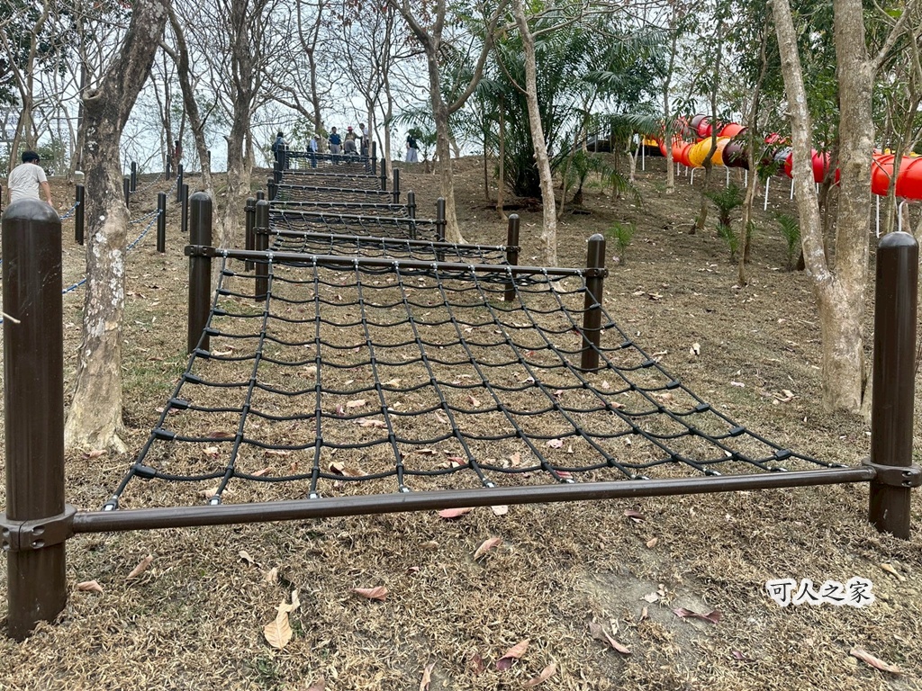 二趾樹懶,互動動物園,內門觀光,動物體驗,土撥鼠,小食蟻獸,栗翅鷹體驗,水豚餵食,狐獴,瓦萊黑鼻羊,親子活動,親近動物,野森動物學校,野森動物學校交通,野森動物學校心得,野森動物學校評價,野森動物學校門票,野森動物學校預約,預約制動物園,高雄假日去哪玩,高雄內門景點,高雄動物園,高雄必去景點,高雄戶外景點,高雄新景點,高雄旅遊,高雄狐狸互動,高雄萌寵園區,高雄親子景點,高雄野森動物學校