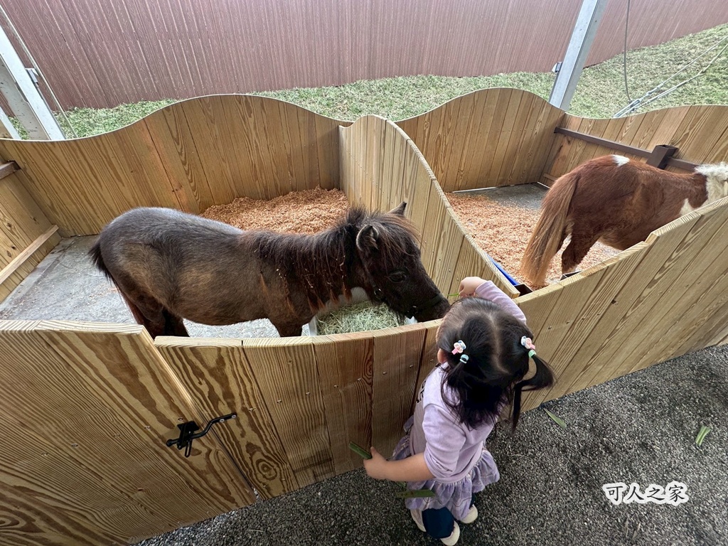二趾樹懶,互動動物園,內門觀光,動物體驗,土撥鼠,小食蟻獸,栗翅鷹體驗,水豚餵食,狐獴,瓦萊黑鼻羊,親子活動,親近動物,野森動物學校,野森動物學校交通,野森動物學校心得,野森動物學校評價,野森動物學校門票,野森動物學校預約,預約制動物園,高雄假日去哪玩,高雄內門景點,高雄動物園,高雄必去景點,高雄戶外景點,高雄新景點,高雄旅遊,高雄狐狸互動,高雄萌寵園區,高雄親子景點,高雄野森動物學校 二趾樹懶,互動動物園,內門觀光,動物體驗,土撥鼠,小食蟻獸,栗翅鷹體驗,水豚餵食,狐獴,瓦萊黑鼻羊,親子活動,親近動物,野森動物學校,野森動物學校交通,野森動物學校心得,野森動物學校評價,野森動物學校門票,野森動物學校預約,預約制動物園,高雄假日去哪玩,高雄內門景點,高雄動物園,高雄必去景點,高雄戶外景點,高雄新景點,高雄旅遊,高雄狐狸互動,高雄萌寵園區,高雄親子景點,高雄野森動物學校
