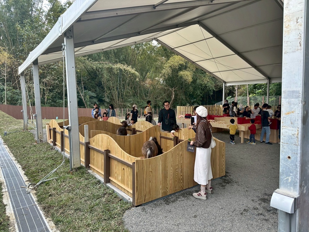 二趾樹懶,互動動物園,內門觀光,動物體驗,土撥鼠,小食蟻獸,栗翅鷹體驗,水豚餵食,狐獴,瓦萊黑鼻羊,親子活動,親近動物,野森動物學校,野森動物學校交通,野森動物學校心得,野森動物學校評價,野森動物學校門票,野森動物學校預約,預約制動物園,高雄假日去哪玩,高雄內門景點,高雄動物園,高雄必去景點,高雄戶外景點,高雄新景點,高雄旅遊,高雄狐狸互動,高雄萌寵園區,高雄親子景點,高雄野森動物學校 二趾樹懶,互動動物園,內門觀光,動物體驗,土撥鼠,小食蟻獸,栗翅鷹體驗,水豚餵食,狐獴,瓦萊黑鼻羊,親子活動,親近動物,野森動物學校,野森動物學校交通,野森動物學校心得,野森動物學校評價,野森動物學校門票,野森動物學校預約,預約制動物園,高雄假日去哪玩,高雄內門景點,高雄動物園,高雄必去景點,高雄戶外景點,高雄新景點,高雄旅遊,高雄狐狸互動,高雄萌寵園區,高雄親子景點,高雄野森動物學校