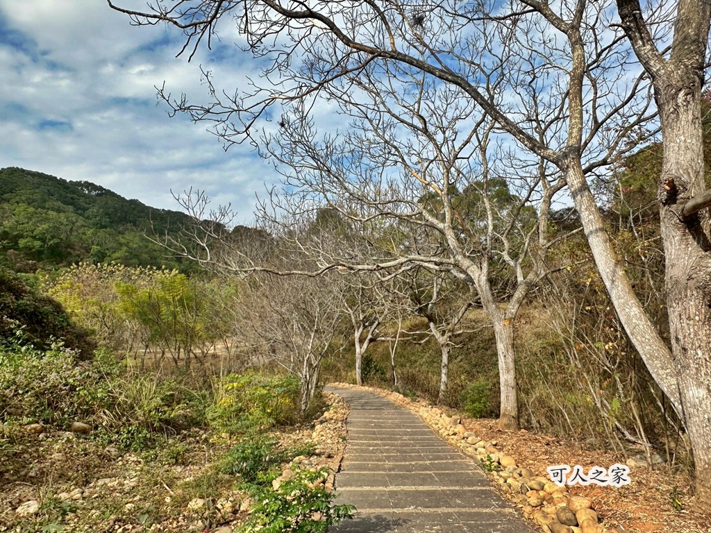 C路線,O型路線,休息涼亭,假日出遊,停車場,健行推薦,健行步道,台中步道,台中火力發電廠,台中龍井,國道三號橋下,土地公廟,大榕樹,大肚溪出海口,家庭健行,廁所,彰化線西鄉,戶外活動,木棧道,烤地瓜,登山,竹坑南寮登山步道,自然風光,親子共遊,觀景平台,踏青,輕鬆步道,雙龍搶珠,鯉魚山公園,龍井區,龍止觀