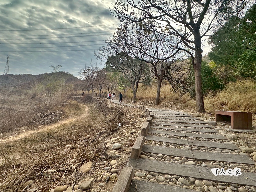 C路線,O型路線,休息涼亭,假日出遊,停車場,健行推薦,健行步道,台中步道,台中火力發電廠,台中龍井,國道三號橋下,土地公廟,大榕樹,大肚溪出海口,家庭健行,廁所,彰化線西鄉,戶外活動,木棧道,烤地瓜,登山,竹坑南寮登山步道,自然風光,親子共遊,觀景平台,踏青,輕鬆步道,雙龍搶珠,鯉魚山公園,龍井區,龍止觀