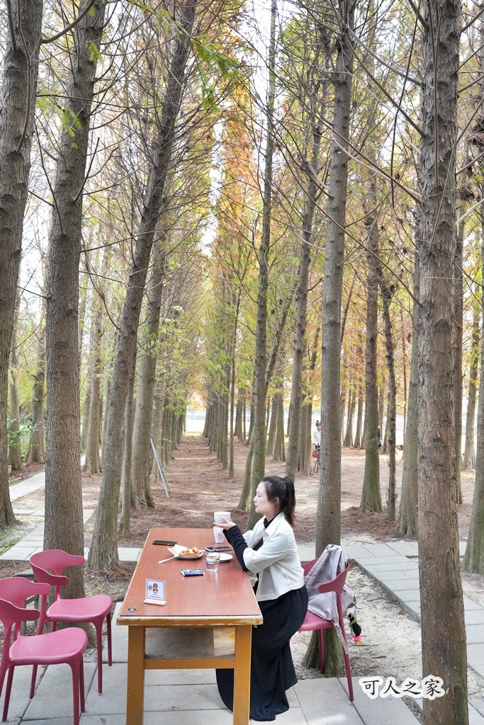 ST workshop,假日限定,台中外埔咖啡廳,台中秘境,城市充電,外埔景點,手作點心,放鬆景點,田園咖啡,落羽松咖啡