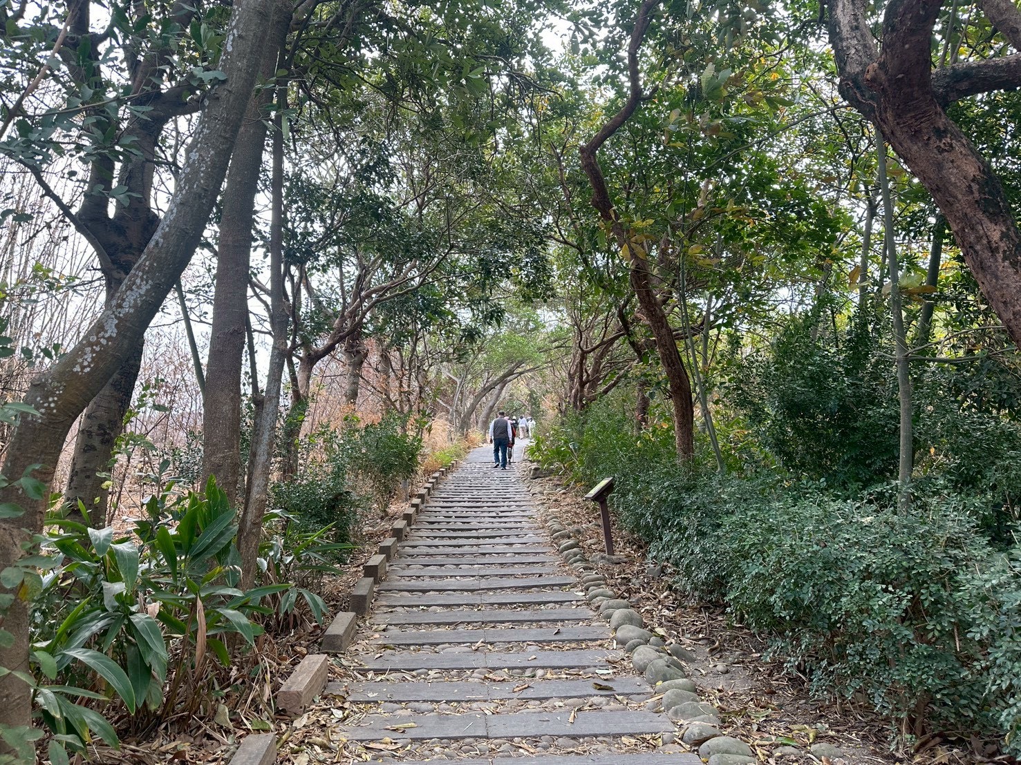 C路線,O型路線,休息涼亭,假日出遊,停車場,健行推薦,健行步道,台中步道,台中火力發電廠,台中龍井,國道三號橋下,土地公廟,大榕樹,大肚溪出海口,家庭健行,廁所,彰化線西鄉,戶外活動,木棧道,烤地瓜,登山,竹坑南寮登山步道,自然風光,親子共遊,觀景平台,踏青,輕鬆步道,雙龍搶珠,鯉魚山公園,龍井區,龍止觀
