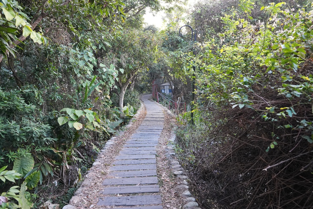 員林一日遊,員林景點,員林步道,彰化員林萬里長城步道,彰化步道推薦,森林芬多精,親子步道,輕鬆健行,高鐵景觀,鳳山寺