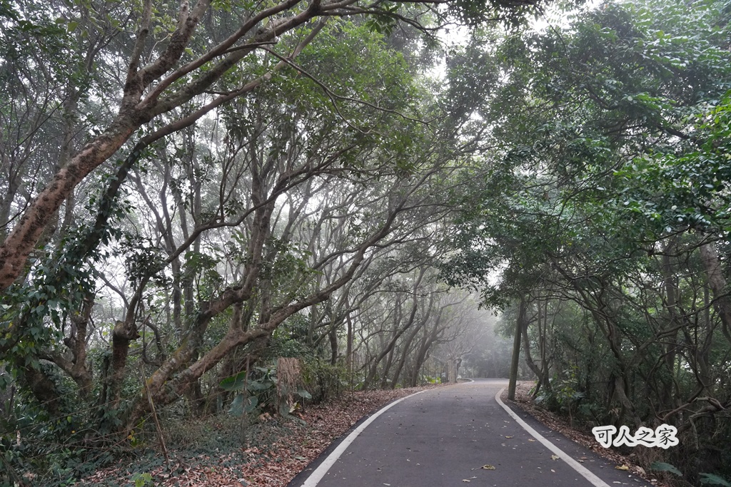 員林一日遊,員林景點,員林步道,彰化員林萬里長城步道,彰化步道推薦,森林芬多精,親子步道,輕鬆健行,高鐵景觀,鳳山寺