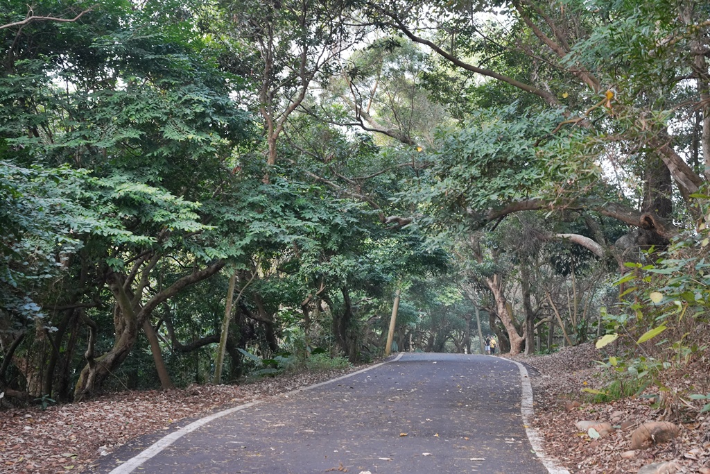 員林一日遊,員林景點,員林步道,彰化員林萬里長城步道,彰化步道推薦,森林芬多精,親子步道,輕鬆健行,高鐵景觀,鳳山寺