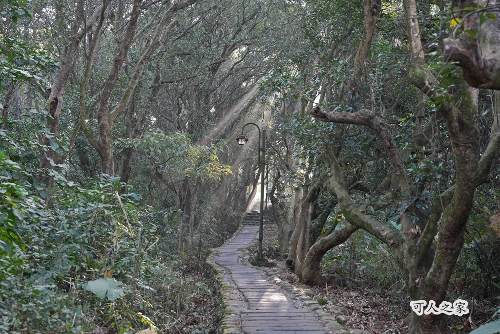 員林一日遊,員林景點,員林步道,彰化員林萬里長城步道,彰化步道推薦,森林芬多精,親子步道,輕鬆健行,高鐵景觀,鳳山寺 @可人之家