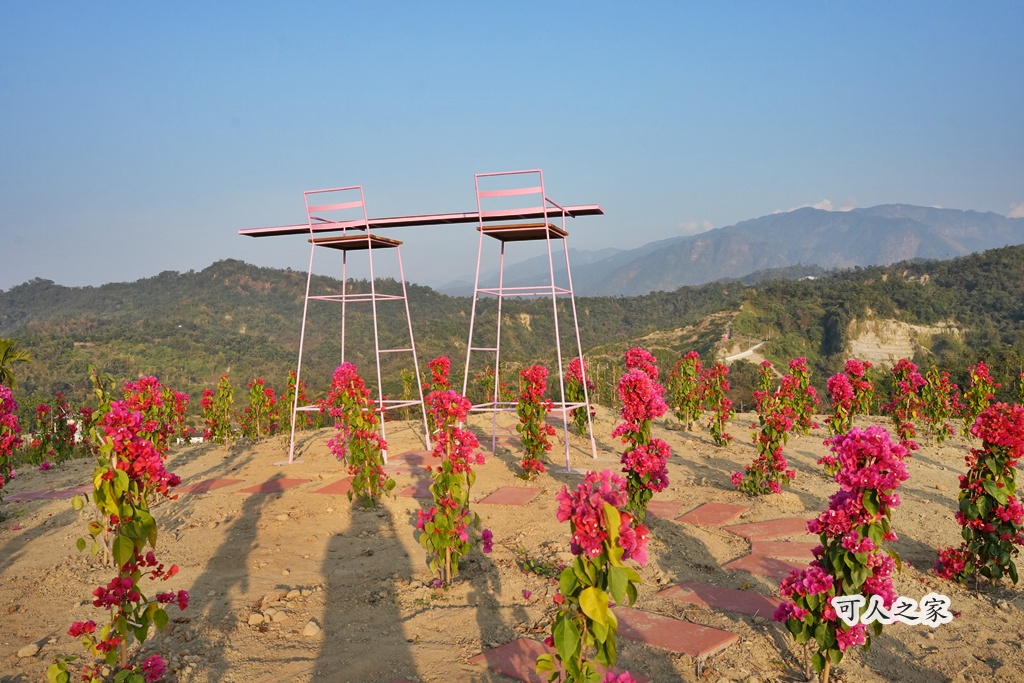 360度山景,九重葛,古坑景點,土匪寮,寵物友善,戶外景點,景觀餐廳,網美景點,親子景點,試營運,雲林古坑有風的地方,雲林新景點,雲林景點,麝香木花海 360度山景,九重葛,古坑景點,土匪寮,寵物友善,戶外景點,景觀餐廳,網美景點,親子景點,試營運,雲林古坑有風的地方,雲林新景點,雲林景點,麝香木花海