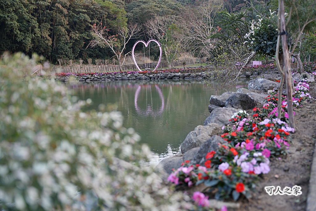 360度山景,九重葛,古坑景點,土匪寮,寵物友善,戶外景點,景觀餐廳,網美景點,親子景點,試營運,雲林古坑有風的地方,雲林新景點,雲林景點,麝香木花海 360度山景,九重葛,古坑景點,土匪寮,寵物友善,戶外景點,景觀餐廳,網美景點,親子景點,試營運,雲林古坑有風的地方,雲林新景點,雲林景點,麝香木花海