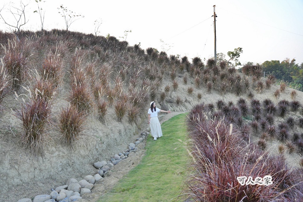360度山景,九重葛,古坑景點,土匪寮,寵物友善,戶外景點,景觀餐廳,網美景點,親子景點,試營運,雲林古坑有風的地方,雲林新景點,雲林景點,麝香木花海 360度山景,九重葛,古坑景點,土匪寮,寵物友善,戶外景點,景觀餐廳,網美景點,親子景點,試營運,雲林古坑有風的地方,雲林新景點,雲林景點,麝香木花海