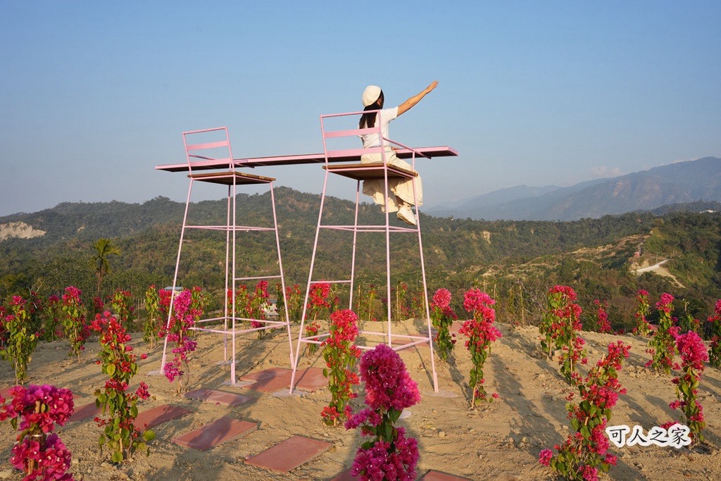 360度山景,九重葛,古坑景點,土匪寮,寵物友善,戶外景點,景觀餐廳,網美景點,親子景點,試營運,雲林古坑有風的地方,雲林新景點,雲林景點,麝香木花海