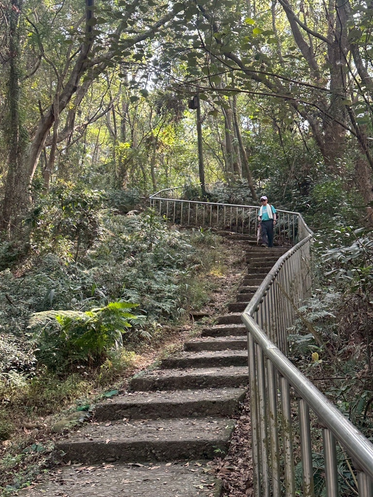 彰化田中,水鹿,猴子,田中森林公園,登山步道,芬多精,親子健行,週末去哪