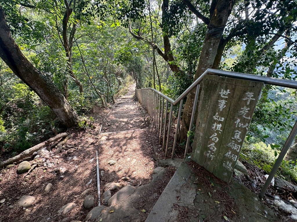 彰化田中,水鹿,猴子,田中森林公園,登山步道,芬多精,親子健行,週末去哪