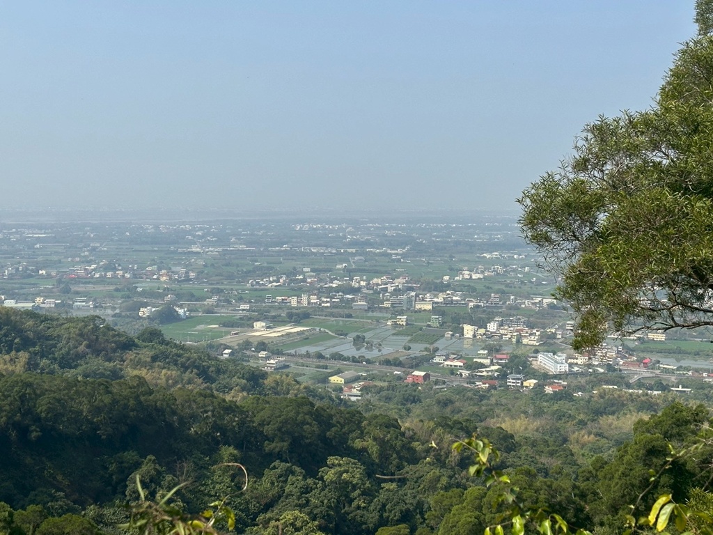 彰化田中,水鹿,猴子,田中森林公園,登山步道,芬多精,親子健行,週末去哪