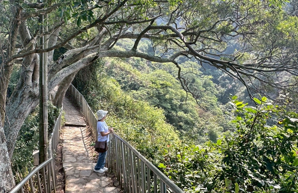 彰化田中,水鹿,猴子,田中森林公園,登山步道,芬多精,親子健行,週末去哪