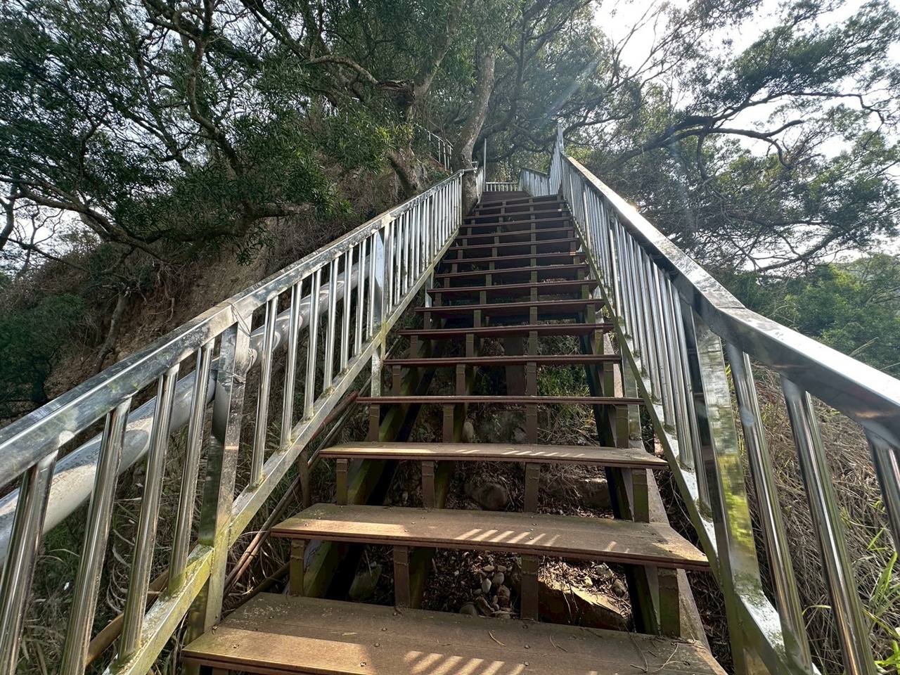 彰化田中,水鹿,猴子,田中森林公園,登山步道,芬多精,親子健行,週末去哪