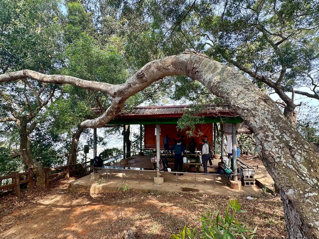 彰化田中,水鹿,猴子,田中森林公園,登山步道,芬多精,親子健行,週末去哪