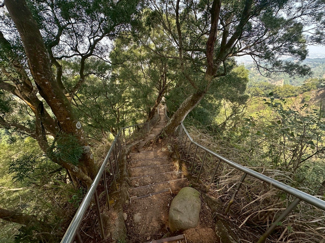 彰化田中,水鹿,猴子,田中森林公園,登山步道,芬多精,親子健行,週末去哪