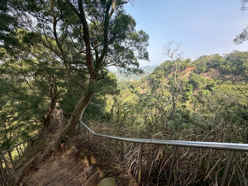 彰化田中,水鹿,猴子,田中森林公園,登山步道,芬多精,親子健行,週末去哪