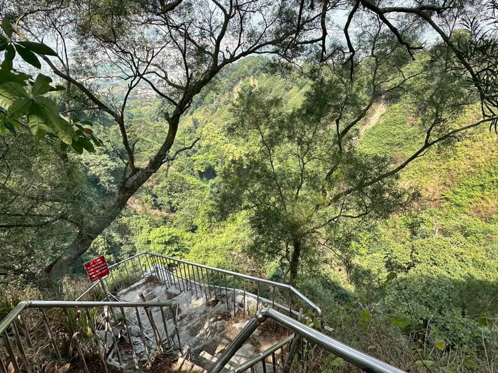 彰化田中,水鹿,猴子,田中森林公園,登山步道,芬多精,親子健行,週末去哪