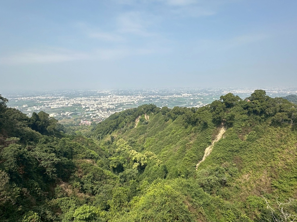 彰化田中,水鹿,猴子,田中森林公園,登山步道,芬多精,親子健行,週末去哪
