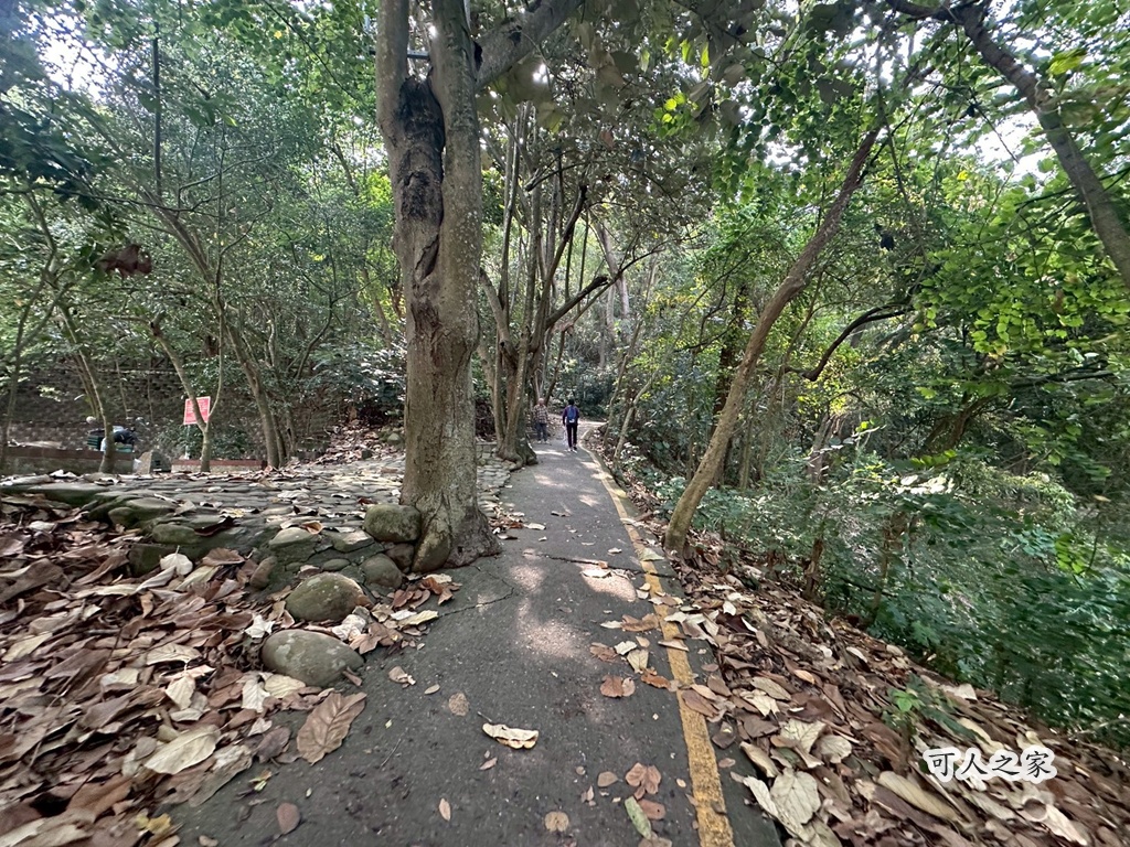 彰化田中,水鹿,猴子,田中森林公園,登山步道,芬多精,親子健行,週末去哪