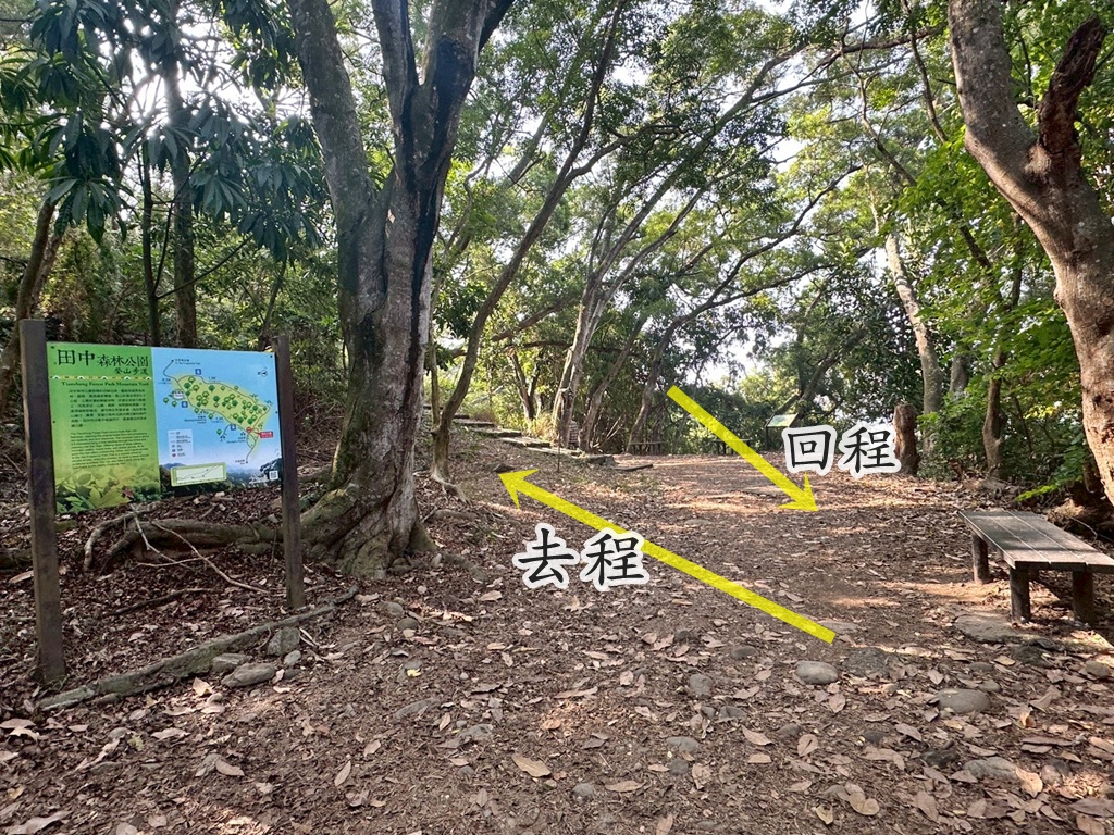 彰化田中,水鹿,猴子,田中森林公園,登山步道,芬多精,親子健行,週末去哪