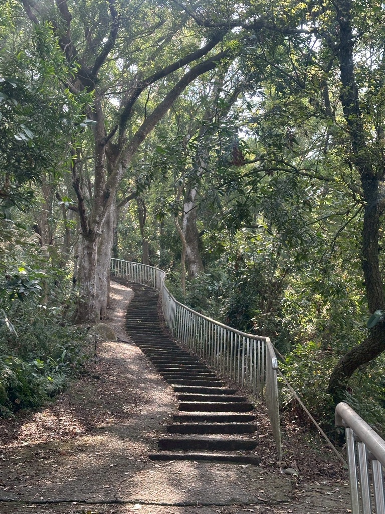 彰化田中,水鹿,猴子,田中森林公園,登山步道,芬多精,親子健行,週末去哪