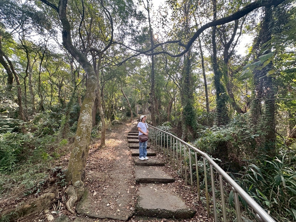彰化田中,水鹿,猴子,田中森林公園,登山步道,芬多精,親子健行,週末去哪