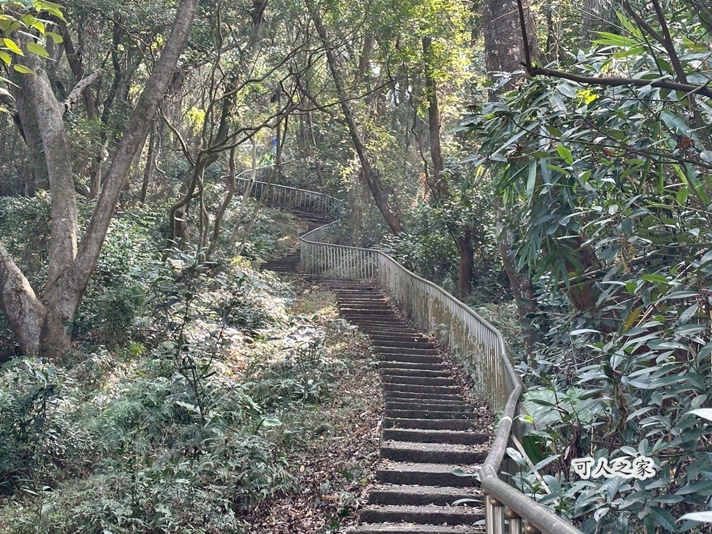 網站近期文章：田中森林公園登山步道｜彰化芬多精環狀步道，輕鬆健行擁抱山林美景