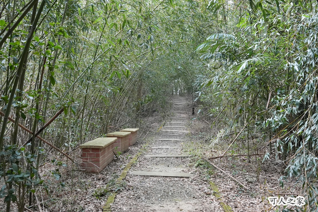 三灣老銃櫃步道,竹林步道,龍貓隧道