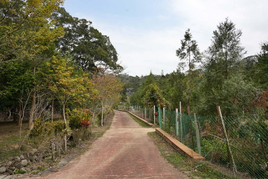 三灣老銃櫃步道,竹林步道,龍貓隧道