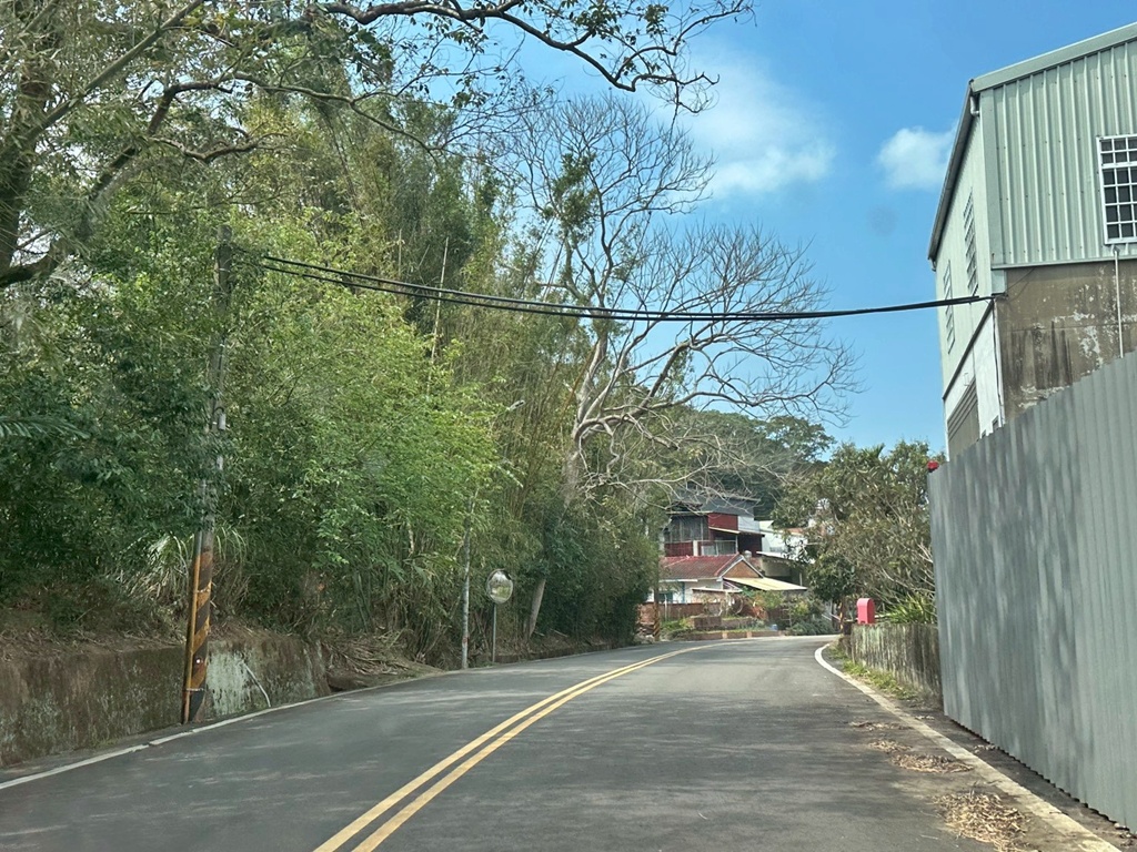 三灣老銃櫃步道,竹林步道,龍貓隧道 三灣老銃櫃步道,竹林步道,龍貓隧道