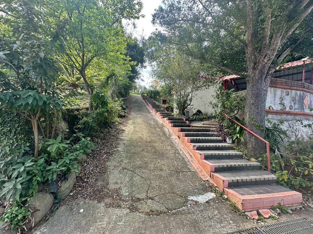 三灣老銃櫃步道,竹林步道,龍貓隧道 三灣老銃櫃步道,竹林步道,龍貓隧道