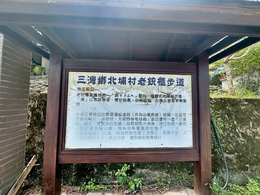 三灣老銃櫃步道,竹林步道,龍貓隧道 三灣老銃櫃步道,竹林步道,龍貓隧道