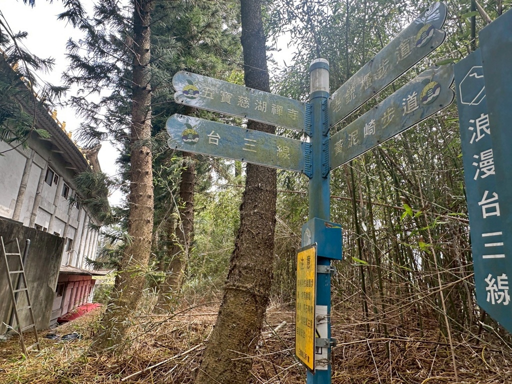 三灣老銃櫃步道,竹林步道,龍貓隧道