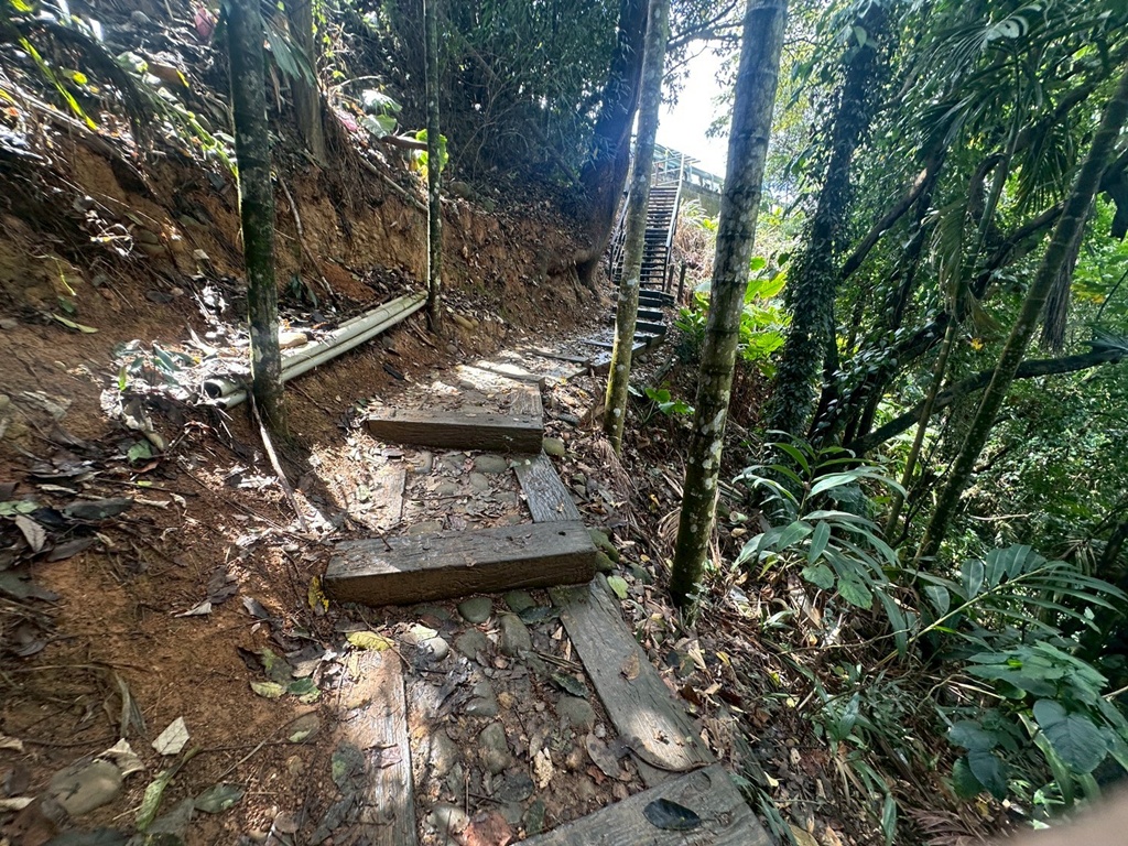 俯瞰景觀。,受天宮,坑內坑步道,彰化一日遊,彰化二水,彰化賞花,百年古道,親子步道,豐柏廣場,黃花風鈴木 俯瞰景觀。,受天宮,坑內坑步道,彰化一日遊,彰化二水,彰化賞花,百年古道,親子步道,豐柏廣場,黃花風鈴木