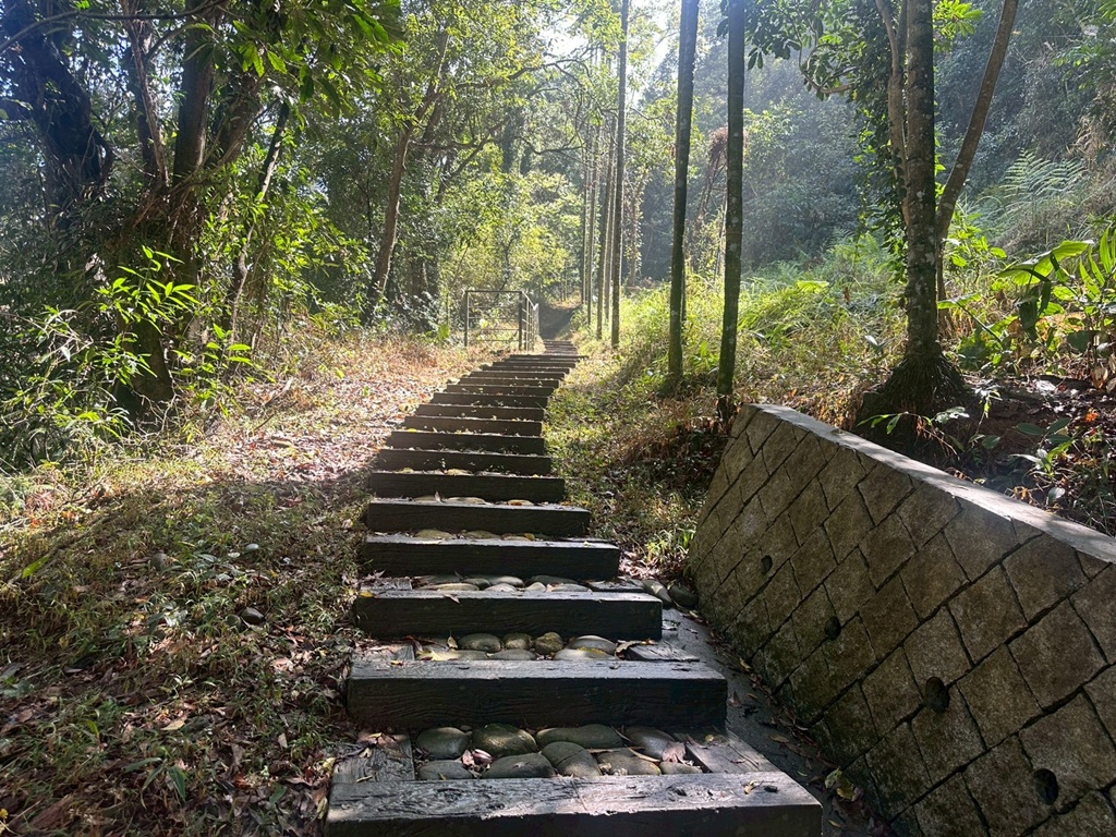 俯瞰景觀。,受天宮,坑內坑步道,彰化一日遊,彰化二水,彰化賞花,百年古道,親子步道,豐柏廣場,黃花風鈴木
