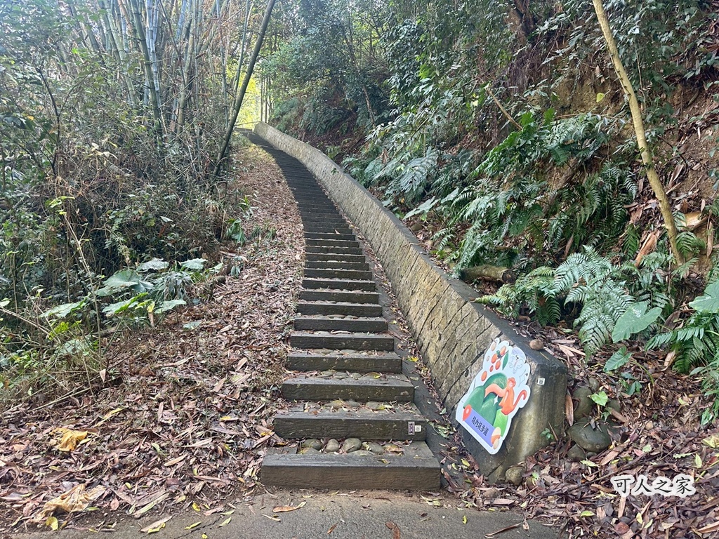 俯瞰景觀。,受天宮,坑內坑步道,彰化一日遊,彰化二水,彰化賞花,百年古道,親子步道,豐柏廣場,黃花風鈴木 俯瞰景觀。,受天宮,坑內坑步道,彰化一日遊,彰化二水,彰化賞花,百年古道,親子步道,豐柏廣場,黃花風鈴木